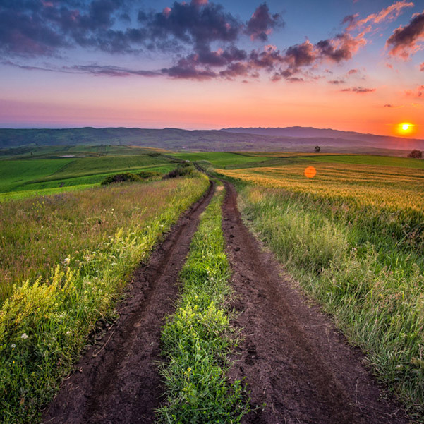 �����ӳ �߲�ľ��ƽ��ɽ[��ͼ]