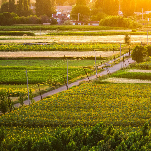 �߳��续 ��Ұ����[��ͼ]