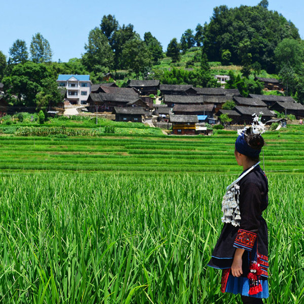 ����������� ���ӵ���Ȼ����[��ͼ]